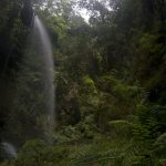 cascada de los tilos