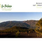 portada boletin informativo