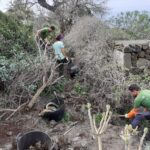 proyecto life IP Azores Natura