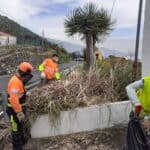 1Extracción Cortaderia selloana Brigada Operativa-REDEXOS Las Sabina (Mazo)