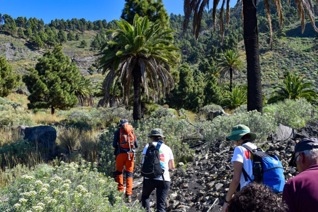 La Palma cuenta con su primer catálogo de ecoturismo