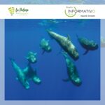 boletin-2semestre-2025